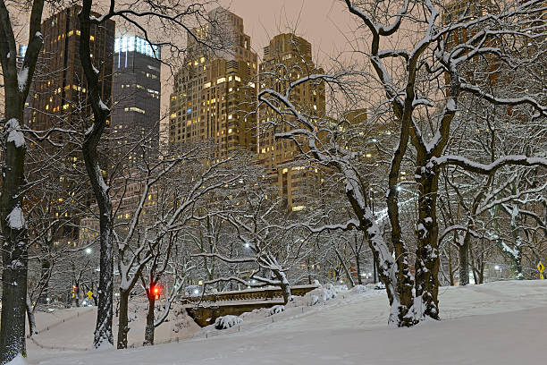 istock Manhattan skyline at night after snowstorm 466816044