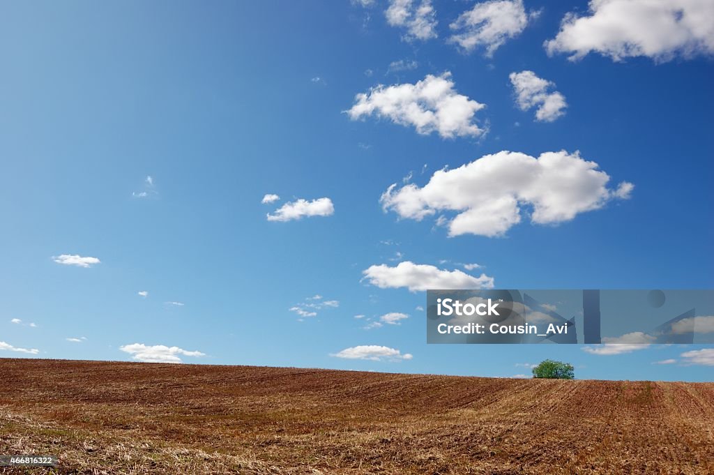 Empty harvested field under cloudy blue sky Empty field after finished harvesting with a single tree under cloudy blue sky 2015 Stock Photo