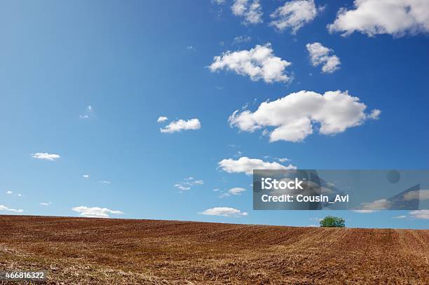 Empty Harvested Field Under Cloudy Blue Sky Stock Photo - Download Image Now - 2015, Agricultural Field, Agriculture