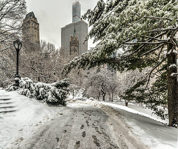 istock Central Park, New York City wonter 466816536