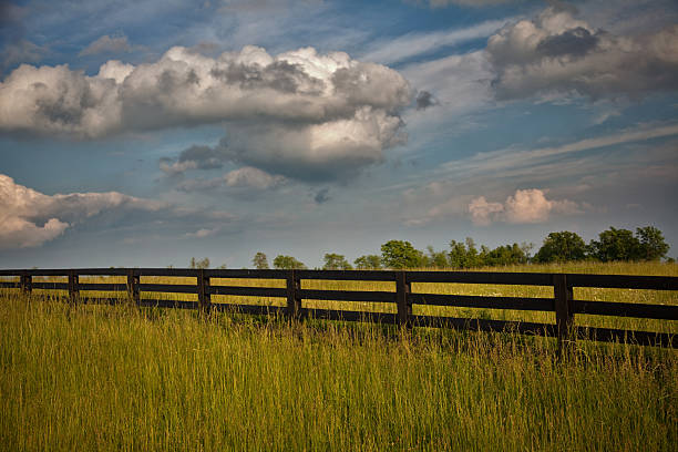 green spring field at sunset, fence in the field,summer landscape on a background beautiful sunset