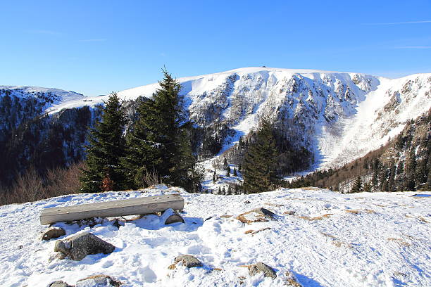 snowy mountains di vosges - bresse foto e immagini stock