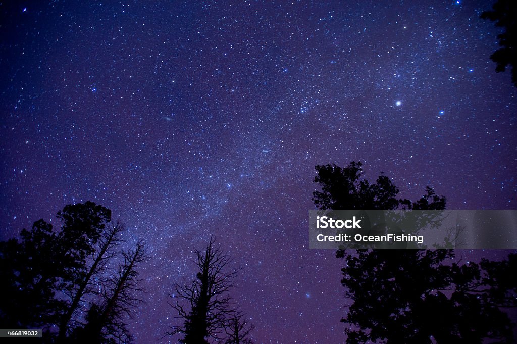 Blue Ridge Sky A shot of the milky way and an Iridium flare in the night sky 2015 Stock Photo