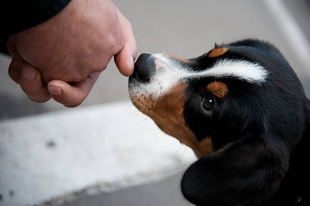 istock Moment of Communication 466819671