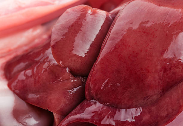 istock skinned liver of a rabbit 466820750