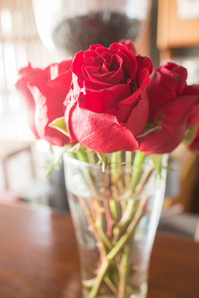istock Beautiful red rose bouquet on vintage background 466821544