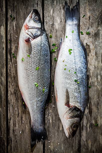 istock two raw seabass with fresh thyme on wooden table 466823960