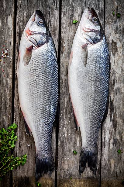 istock two raw seabass with fresh thyme on wooden table 466823966