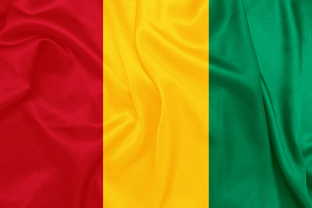 istock Guinea - Waving national flag on silk texture 466824662