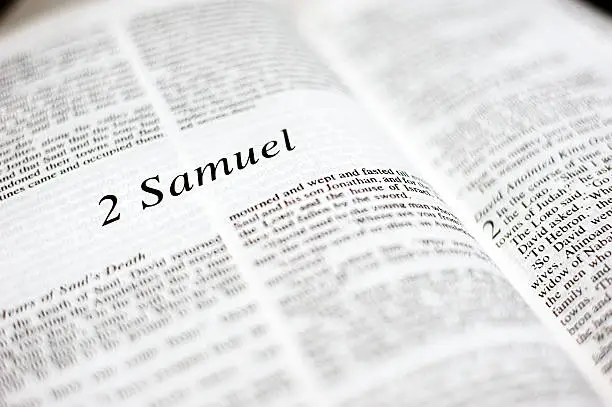 2 Samuel, one of 66 books in the Bible