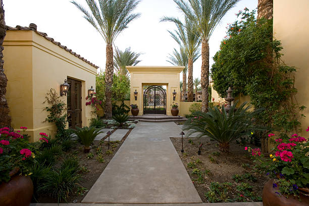 istock Walkway Along Plants In House Garden 466829830