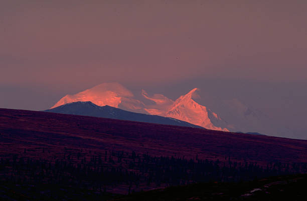 istock Sunrise on Mount McKinley Denali National Park 466832229