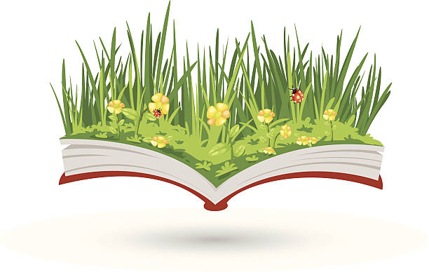 illustrazioni stock, clip art, cartoni animati e icone di tendenza di fiorire libro - ladybug grass leaf close up