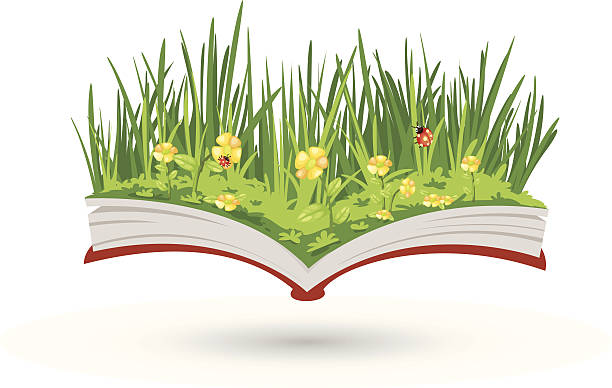 The flowering book The flowering book vector ladybird book stock illustrations
