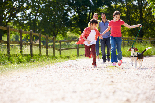 Hispanic Family Taking Dog For Walk In Countryside On Summers Day