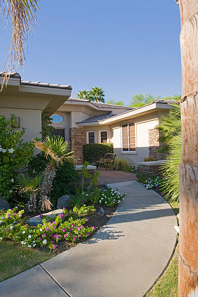 istock Walkway Along Plants In House Garden 466836160