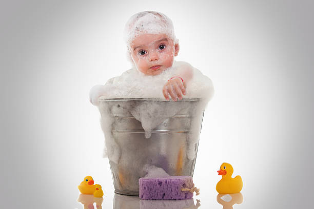 petit bébé dans un seau sur fond blanc - male animal duck water cleaning photos et images de collection