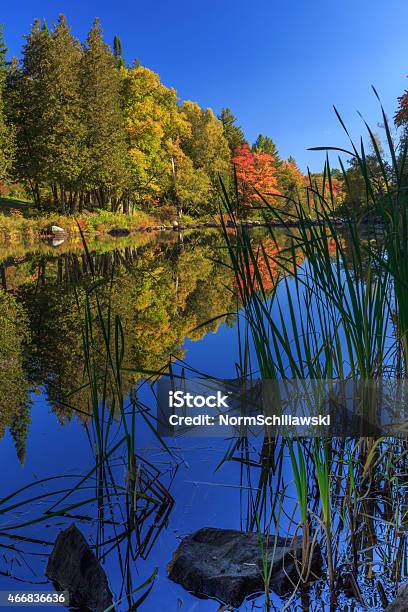 Fall Foliage Reflecting In Placid Blue Lake With Grasses Stock Photo - Download Image Now