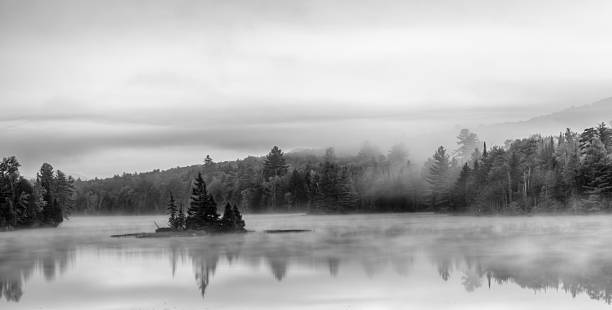 istock Foggy reflections of tiny island in lake 466836736