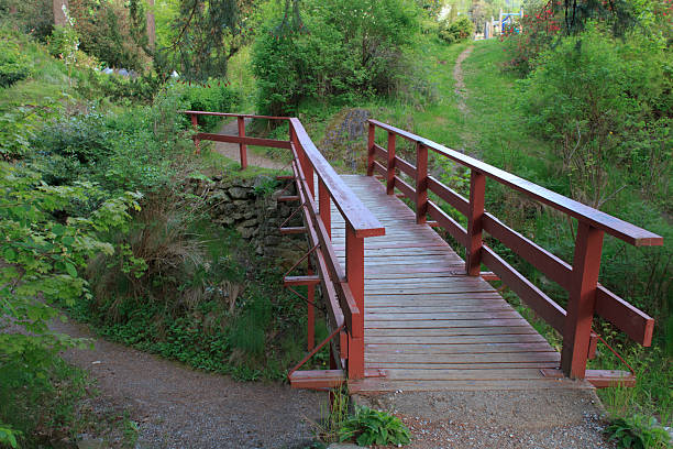 istock Footbridge in the woods 466837960