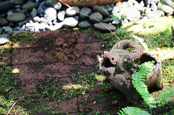 istock Buffalo figure for Gardening arrangement 466838014