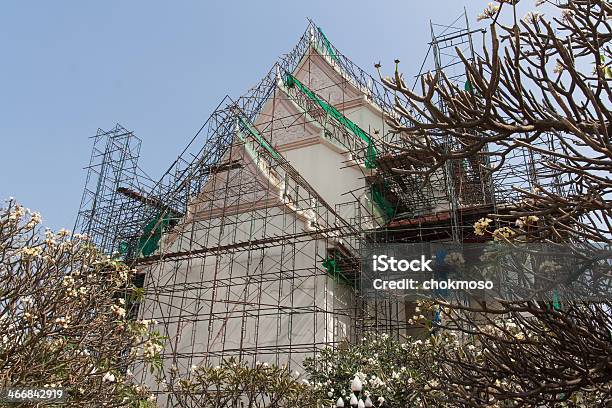 Reparação De - Fotografias de stock e mais imagens de Abadia - Abadia, Apanhar - Comportamento animal, Começo