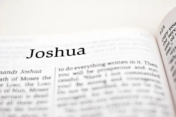 Joshua, one of 66 books in the Bible