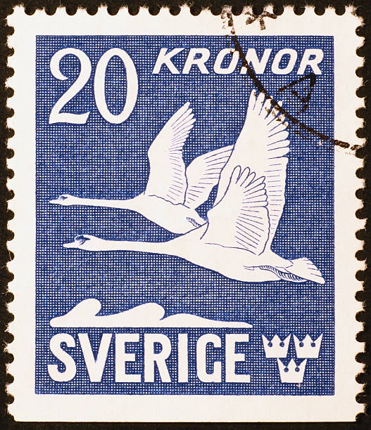 istock Two flying swans on vintage swedish stamp 466844355