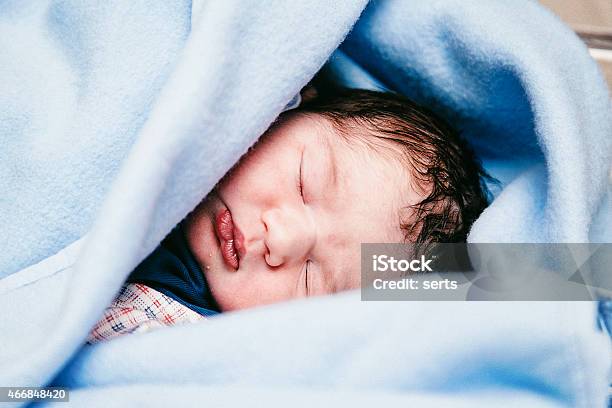 Sleeping Newborn Baby Stock Photo - Download Image Now - 0-11 Months, Animal, Asian and Indian Ethnicities