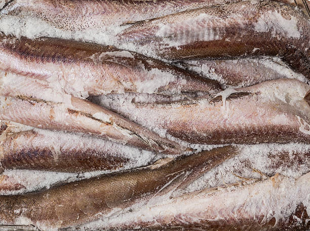 istock frozen carcass fish in brick for trade and background 466848803