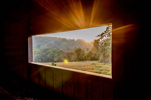 istock View at Kaoyai National Park, Thailand. 466851247
