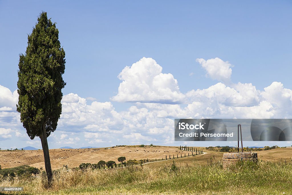 País de Toscana - Foto de stock de Agricultura libre de derechos