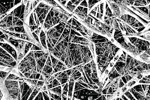 Tangled branches or tree roots abstract background. Engraving.