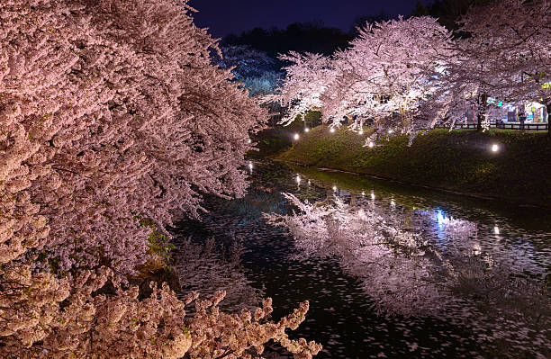 istock Cherry blossoms and Hirosaki Park 466857828