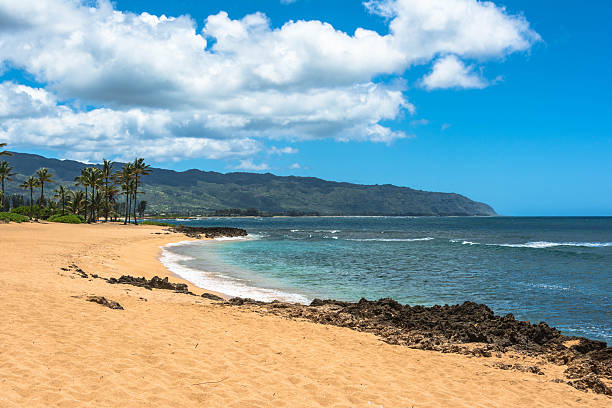 istock Sand beach along North Shore, Oahu 466858414