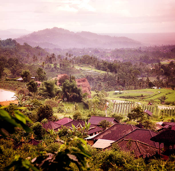 Traditional terrace rice fields of Bali, Indonesia.