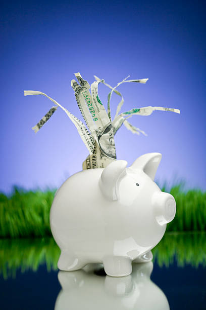 istock Piggy Bank Shredder 466869683