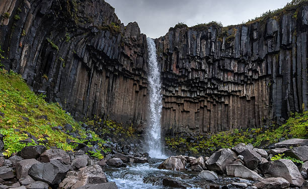 istock Svartifoss waterfall, Skaftafell N.P., Iceland. 466872888