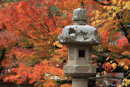 Autumn leaves and stone lantern in Japan
