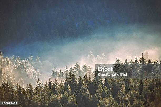 View Of Misty Fog Mountains In Autumn Stock Photo - Download Image Now - Tree, Mountain, 2015