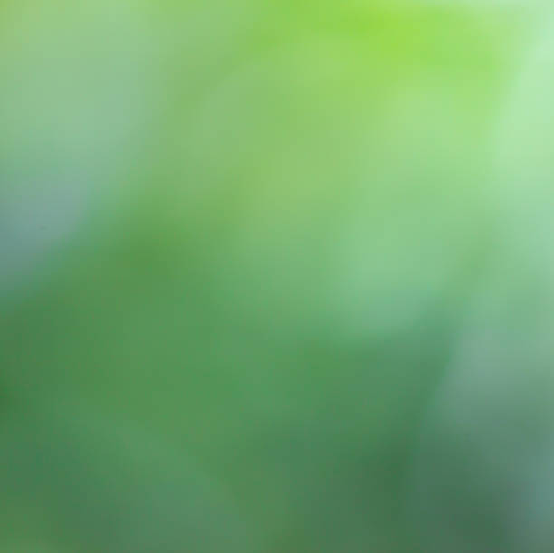 istock Beautiful blur abstract background in green 466880437