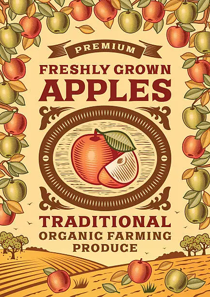 Vector illustration of Retro apples poster