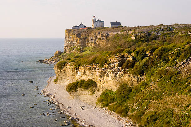 해안행 karlso island.jh - cliff at the edge of grass sea 뉴스 사진 이미지