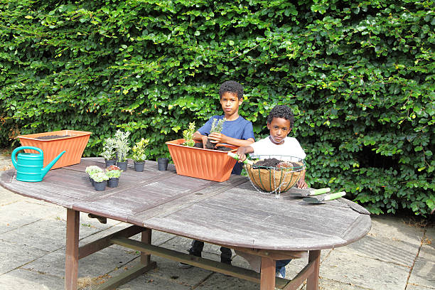 istock young boys potting flowers 466882105