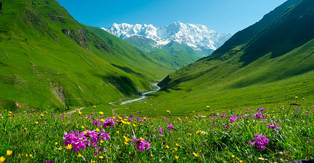 enguri river valley, cerca de ushguli, svaneti, georgia - valley georgia river mountain fotografías e imágenes de stock