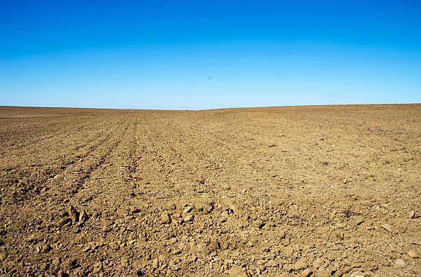 istock plowed field in  rural landscape 466886638