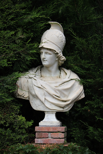 Antique Bust Alexander the Great  in Summer Garden