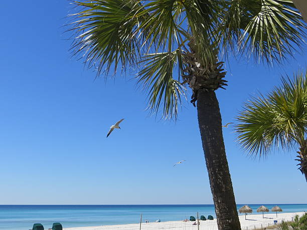 Condo View, Spring Break March 7 2015 stock photo