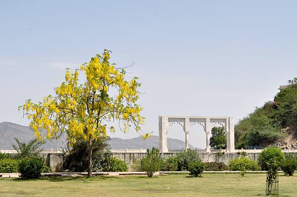 istock Anasagar lake with white marble gate, Ajmer, Rajasthan, India 466888942