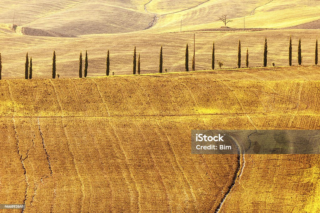 Paesaggio con Cypress foderato strada, Toscana, Italia - Foto stock royalty-free di Natura